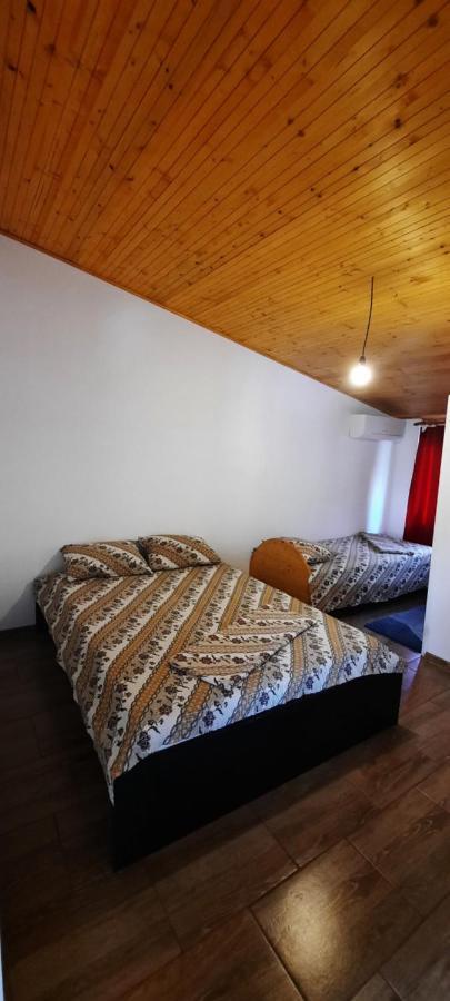 Hotel Telteu Florian Dubova Zewnętrze zdjęcie